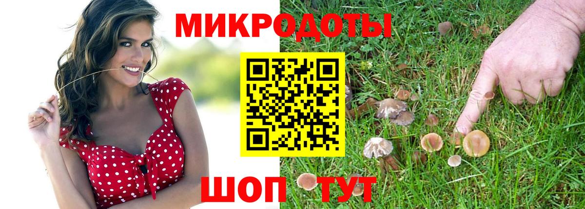 ГАШ Набережные Челны