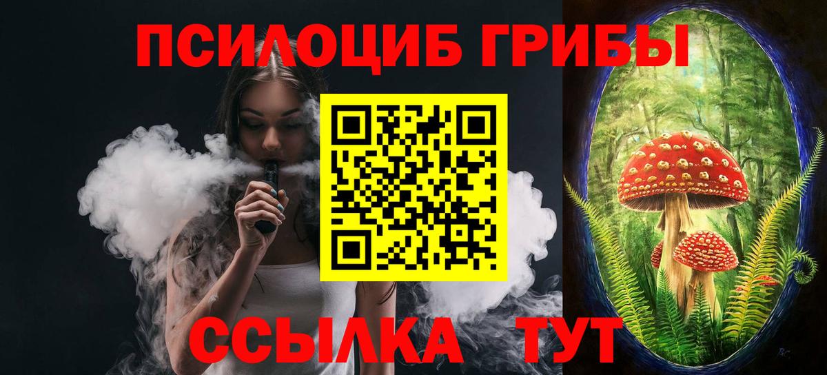 Галлюциногенные грибы Psilocybe Набережные Челны