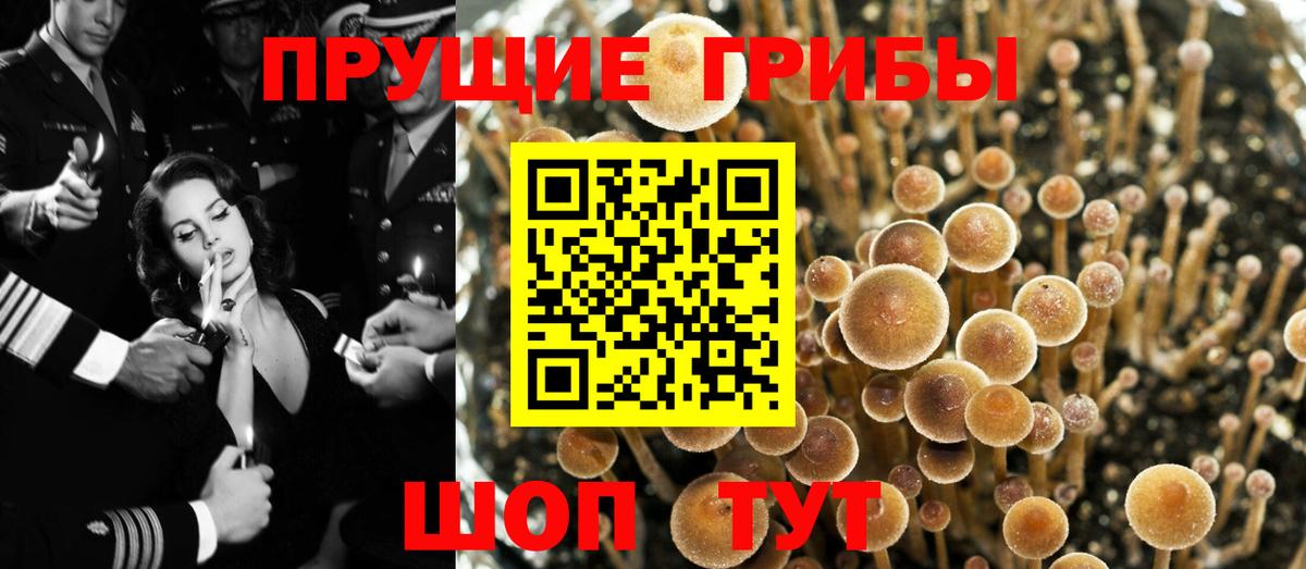 Псилоцибиновые грибы прущие грибы  дарнет шоп  Набережные Челны  Вход с VPN 